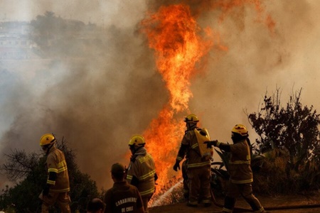 Especialista y “Ley de incendios”: “Más que leyes hace falta voluntad política”