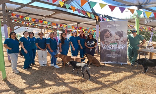 Santo Tomás Viña del Mar realizó operativo veterinario  en Santuario Clafira de Limache.