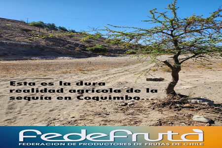 Zonas productivas sin agua en Coquimbo: dirigentes y regantes acuerdan presionar por medidas concretas para sobrevivir la sequía.