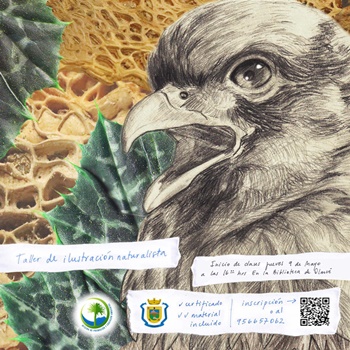 En Olmué,se realizará taller de ilustración naturalista enfocado en la reserva de la biosfera.
